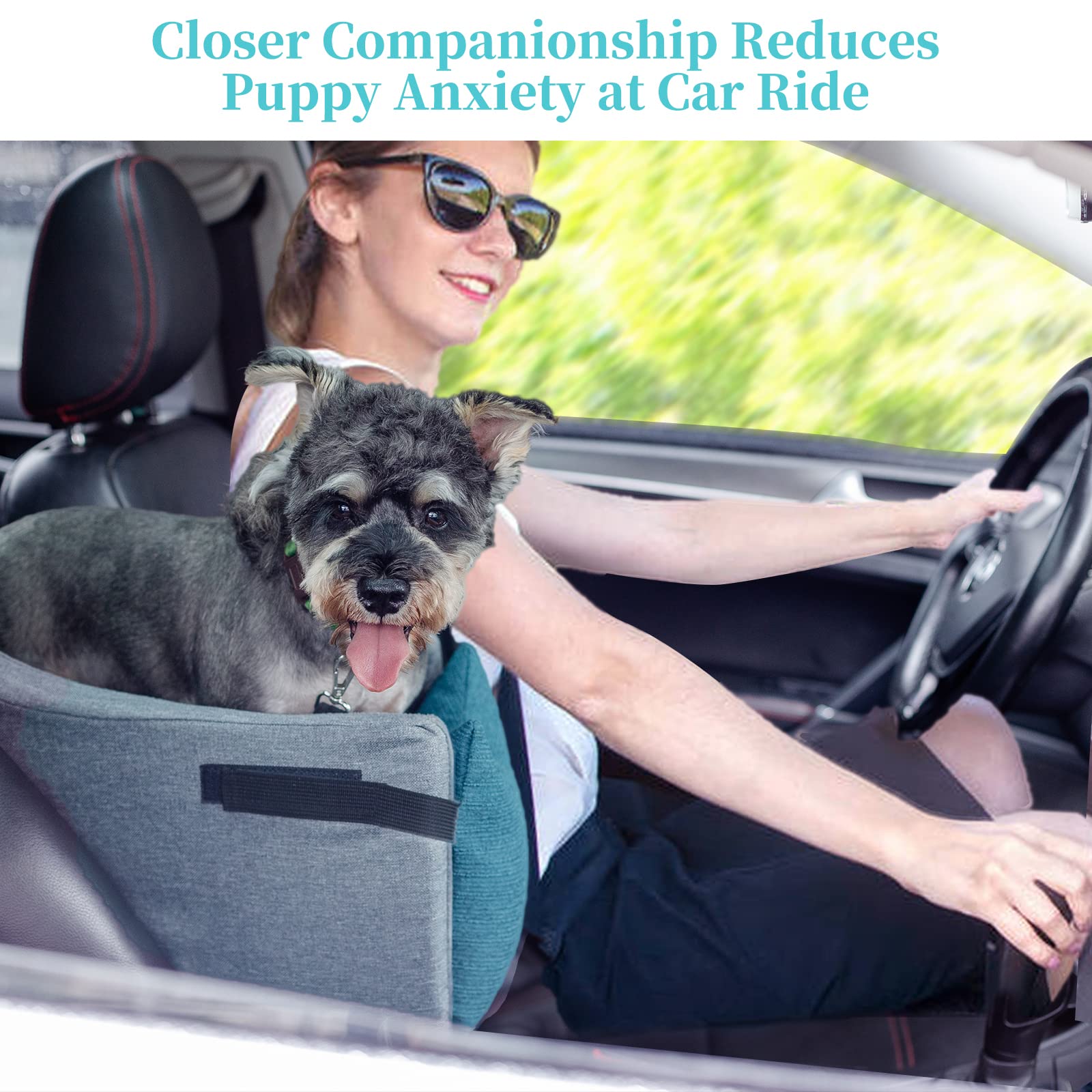 Portable Dog Booster Seat for Cars - Single & Double Console Compatible Travel Pet Carrier, Machine Washable Small Dog Car Seat (Blue) | Perfect for Road Trips & Daily Commutes with Your Puppy
