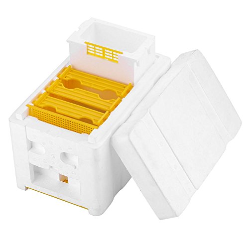 Premium Antilog Harvest Bee Hive - Beekeeping King Box for Pollination & Honey Production | Durable Beekeeping Tool for Backyard & Commercial Apiaries | Perfect for Garden Pollination & Sustainable Honey Farming