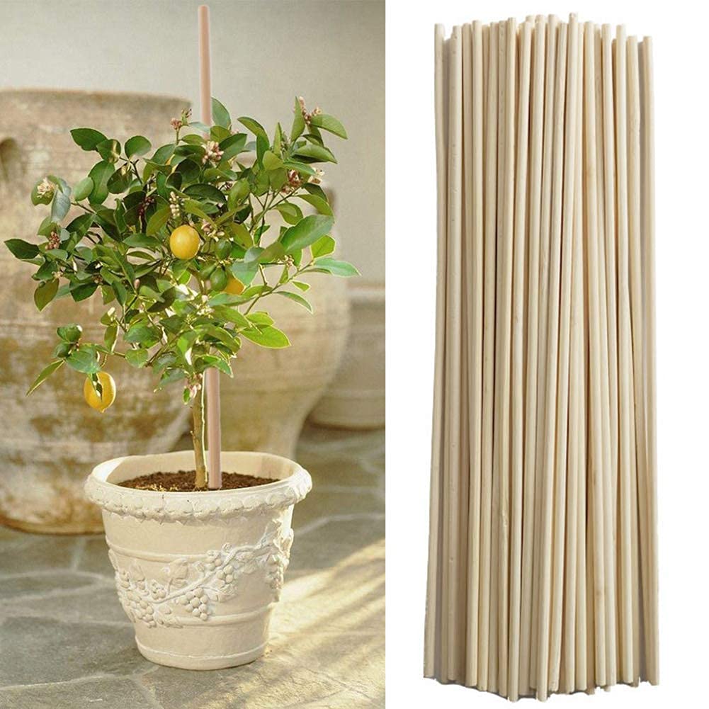 50Pcs Bamboo Plant Support Stakes - Garden Single Stem Support Sticks for Potted Flowers, Vegetables & Vines - Natural Plant Grow Support Canes for Indoor/Outdoor Gardening (Perfect for Roses, Tomatoes & Climbing Plants)