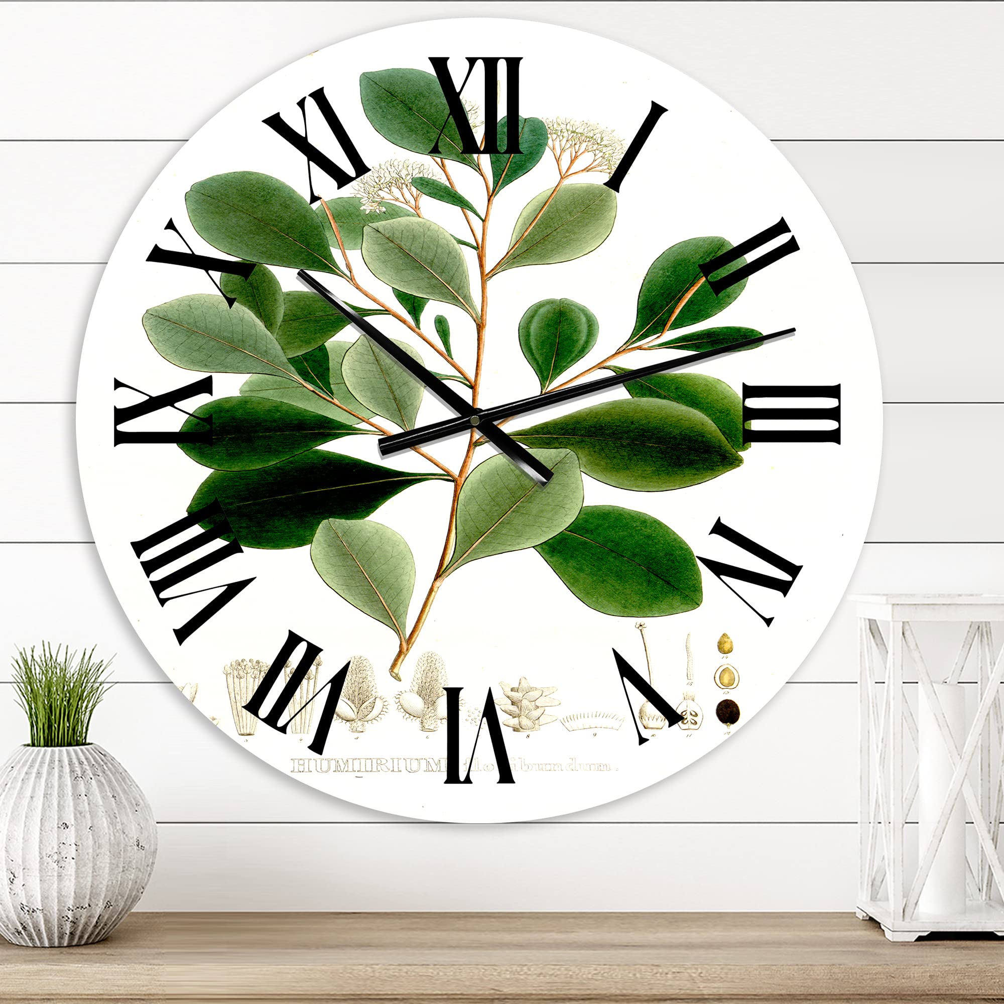 Vintage Botanicals IV Floral Wall Clock - Large Traditional Decorative Clock for Bedroom, Living Room & Office | Silent Non-Ticking Home Décor