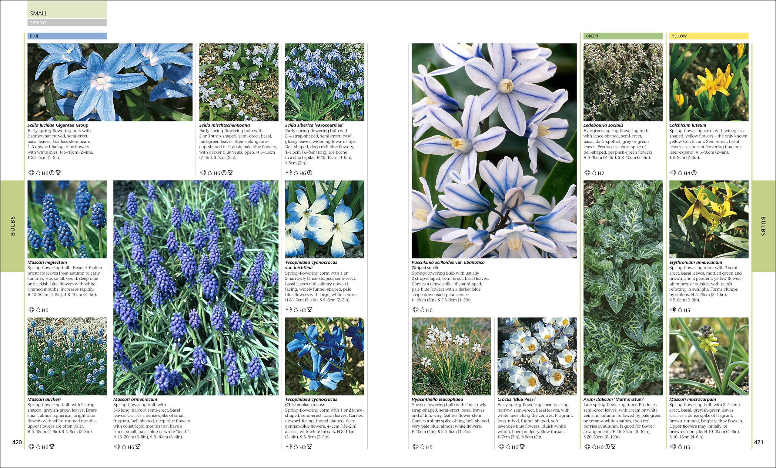 RHS Encyclopedia of Plants and Flowers - Comprehensive Gardening Guide for Home & Garden Landscaping | Perfect for Beginners & Expert Gardeners