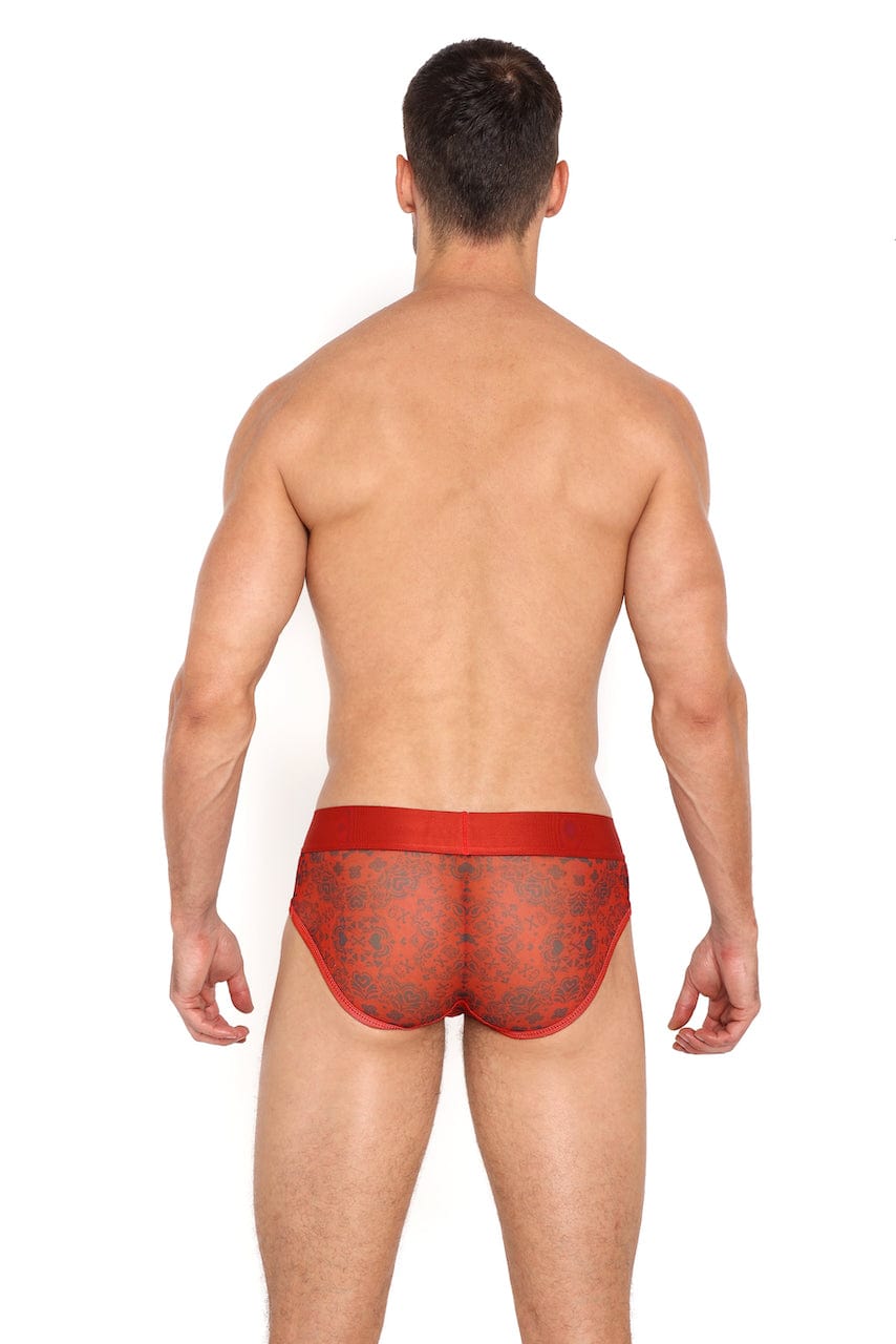 Red Heart Sheer Mesh Bandana Briefs - Sexy Lingerie for Women, Valentine's Day Gift, Romantic Occasions & Special Nights