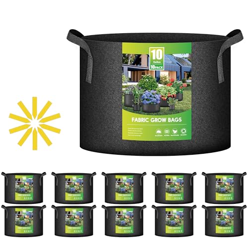 10-pack Black