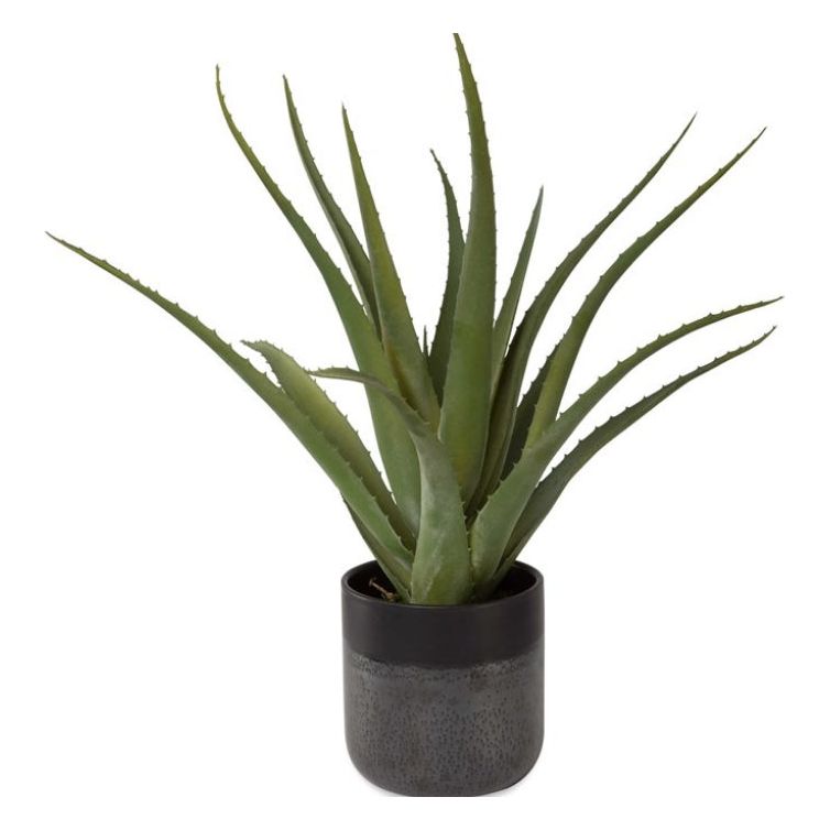 Tucson Aloe Planter - Self Watering Succulent Pot with Drainage Holes - Perfect for Indoor Plants, Home Decor, Office Desk & Gift Ideas