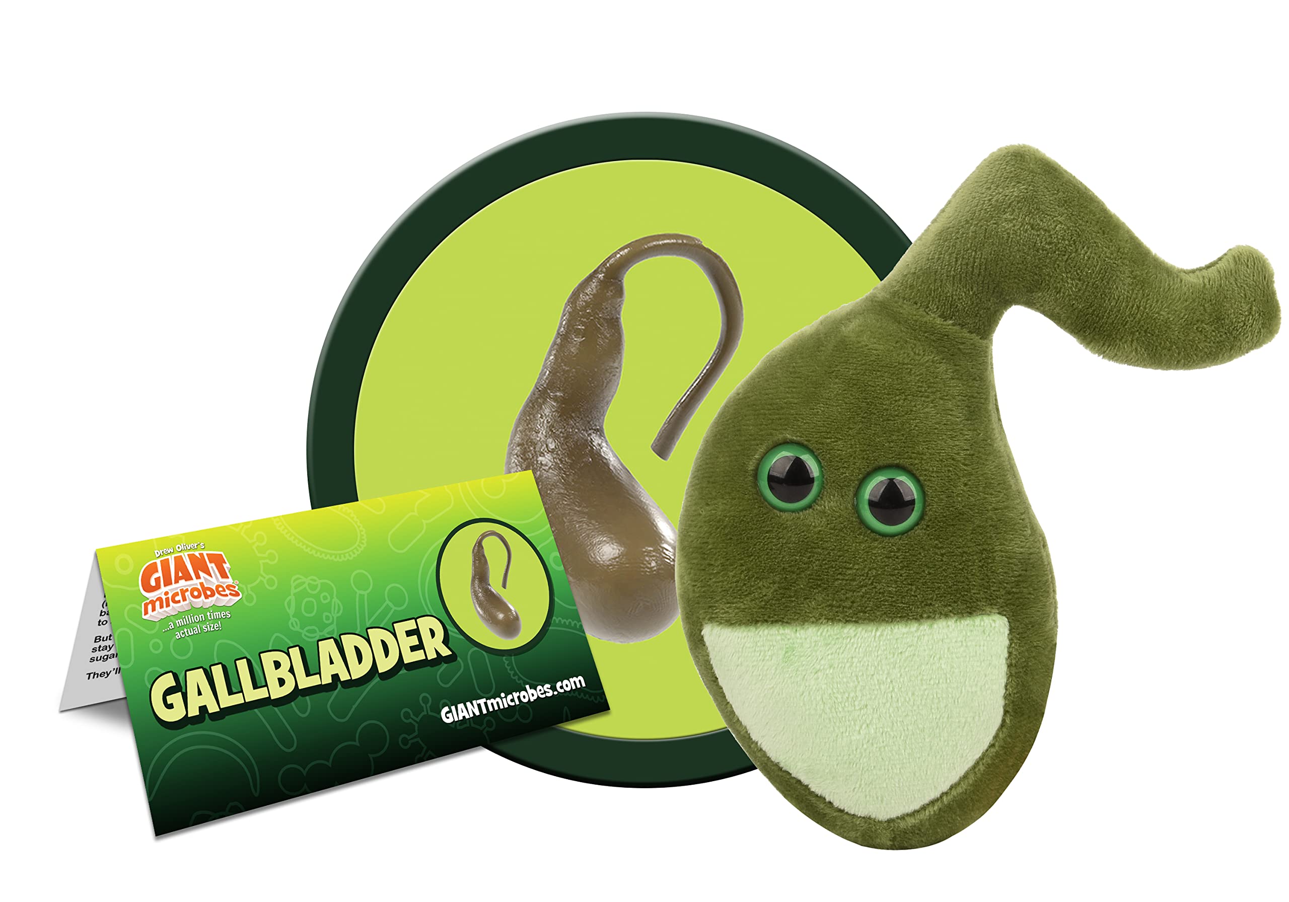 GIANTmicrobes Gallbladder Plush - Cute Biology Stuffed Animal Organ Toy, Perfect Get Well Gift for Gallbladder Surgery Recovery & Gastroenterology Enthusiasts | Great Hospital Gift & Science Education Tool for Kids & Adults