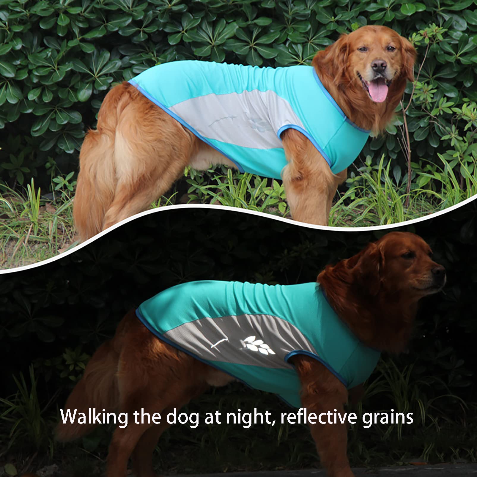Dog Cooling Vest for Large, Medium & Small Dogs - Breathable & Instant Cooling Pet Vest for Walking, Hunting, Training & Outdoor Activities | Perfect for Summer, Hiking & Hot Weather
