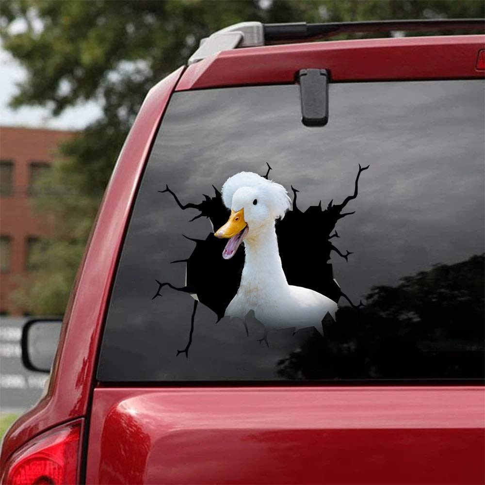 Realistic Duck Car Decals & Wall Stickers Pack of 2 - 10