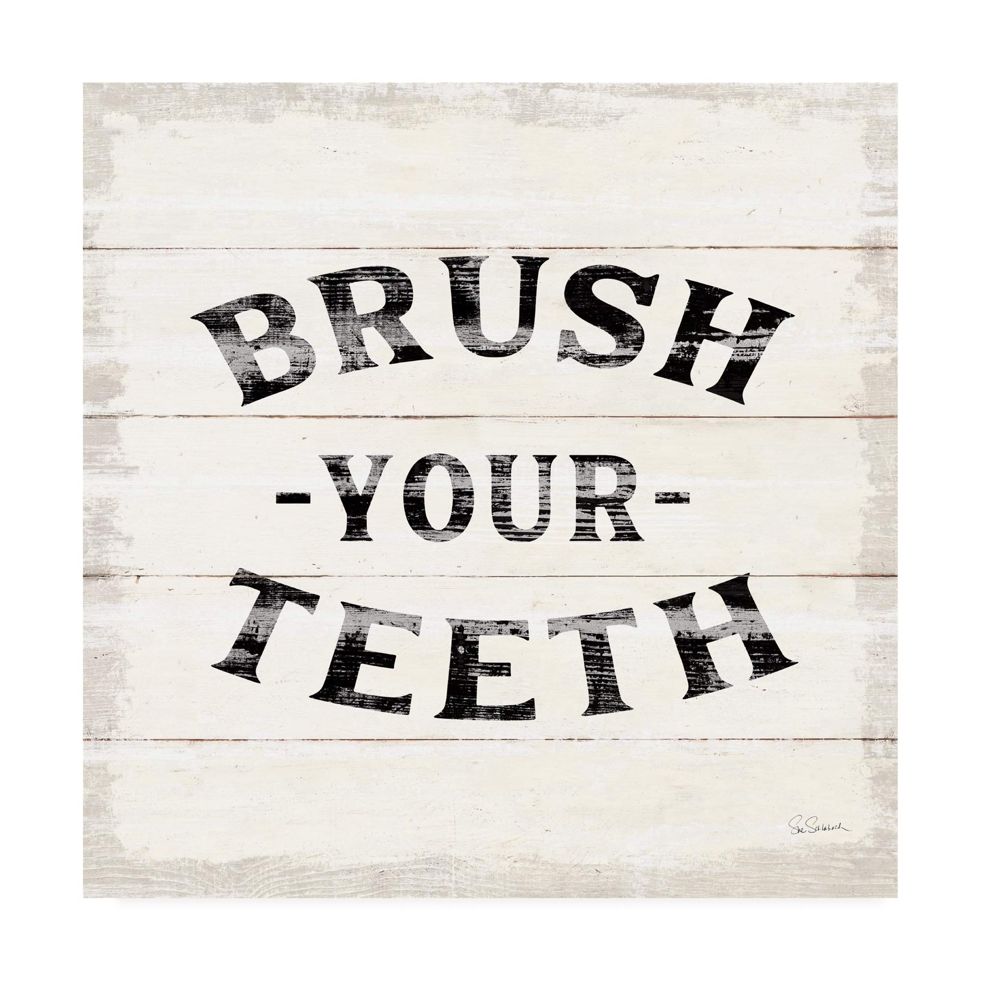 Trademark Fine Art Shiplap Bath III by Sue Schlabach - 18x18 Inch Framed Wall Art - Perfect for Bathroom, Bedroom & Farmhouse Decor