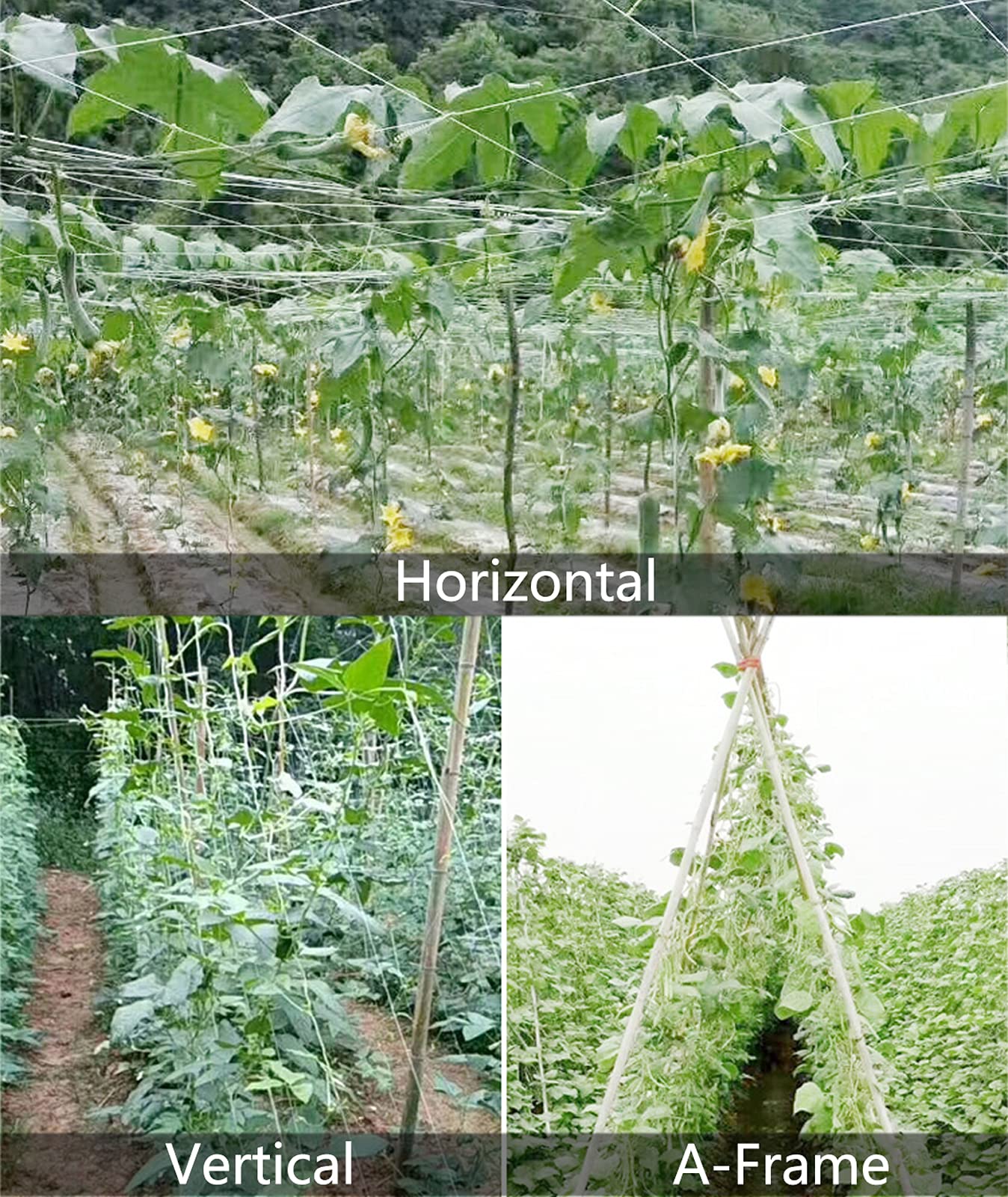 Heavy Duty Polyester Plant Trellis Netting - 5x30ft Square Mesh Support Net for Climbing Plants, Fruits, Vegetables - Durable Garden Trellis for Cucumbers, Tomatoes, Peas - 1 Pack - Perfect for Vertical Gardening & Backyard Farming