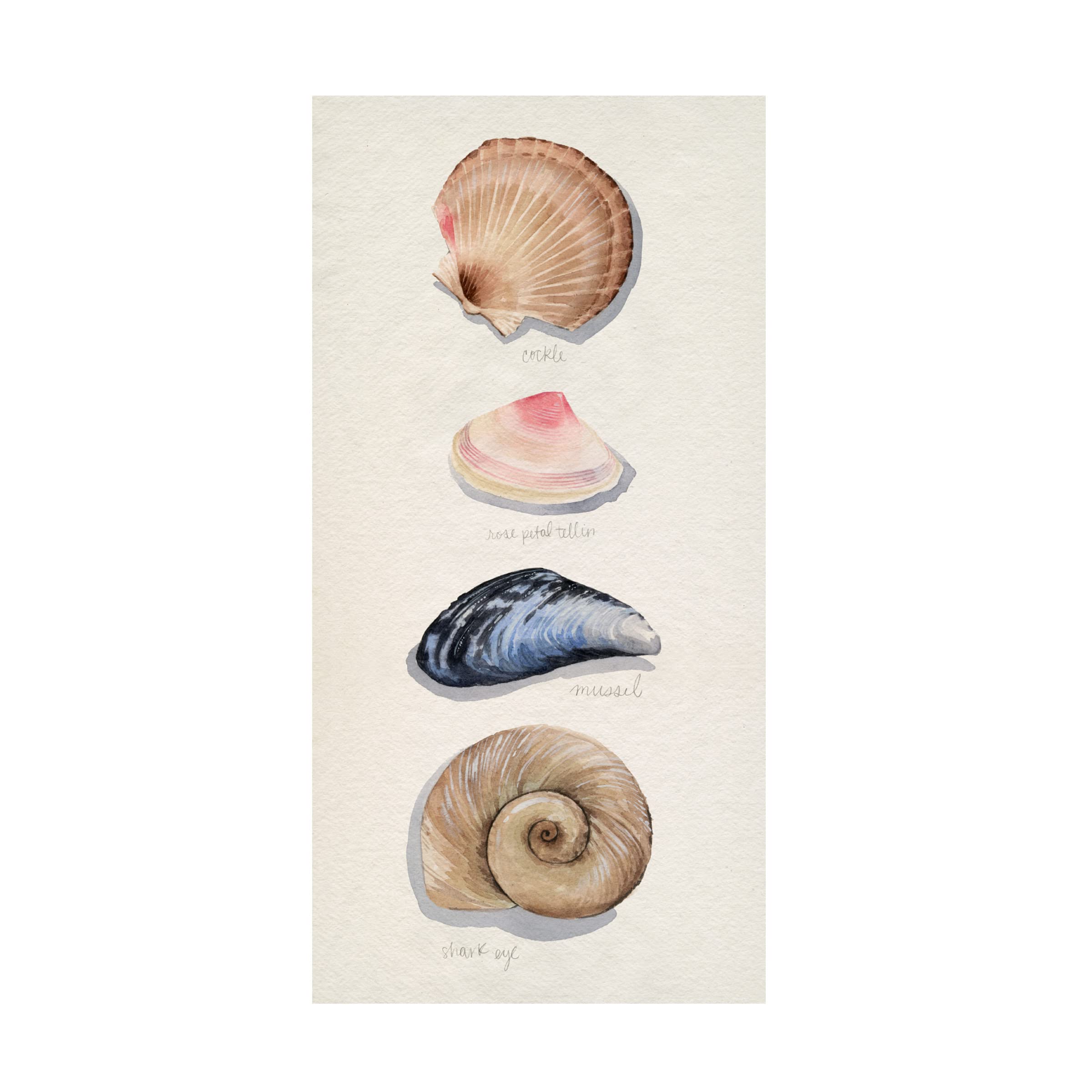 Grace Popp 'Shore Things I' Canvas Wall Art Print - Coastal Beach Decor for Living Room, Bedroom & Office - Trademark Fine Art Collection