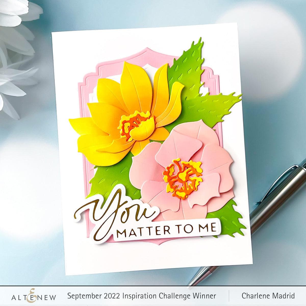 Inspiring & Encouraging Sentiments - Motivational Gifts for Friends, Family & Coworkers - Perfect for Birthdays, Anniversaries & Special Occasions