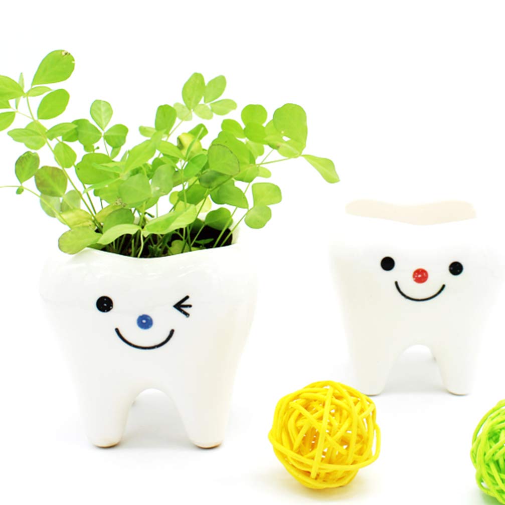 Garneck Ceramic Tooth Planter Pots - Set of 2, Creative Tooth-Shaped Flower Pots for Succulents, Cacti & Small Plants - Unique Home & Office Decor for Desks, Windowsills & Gifts