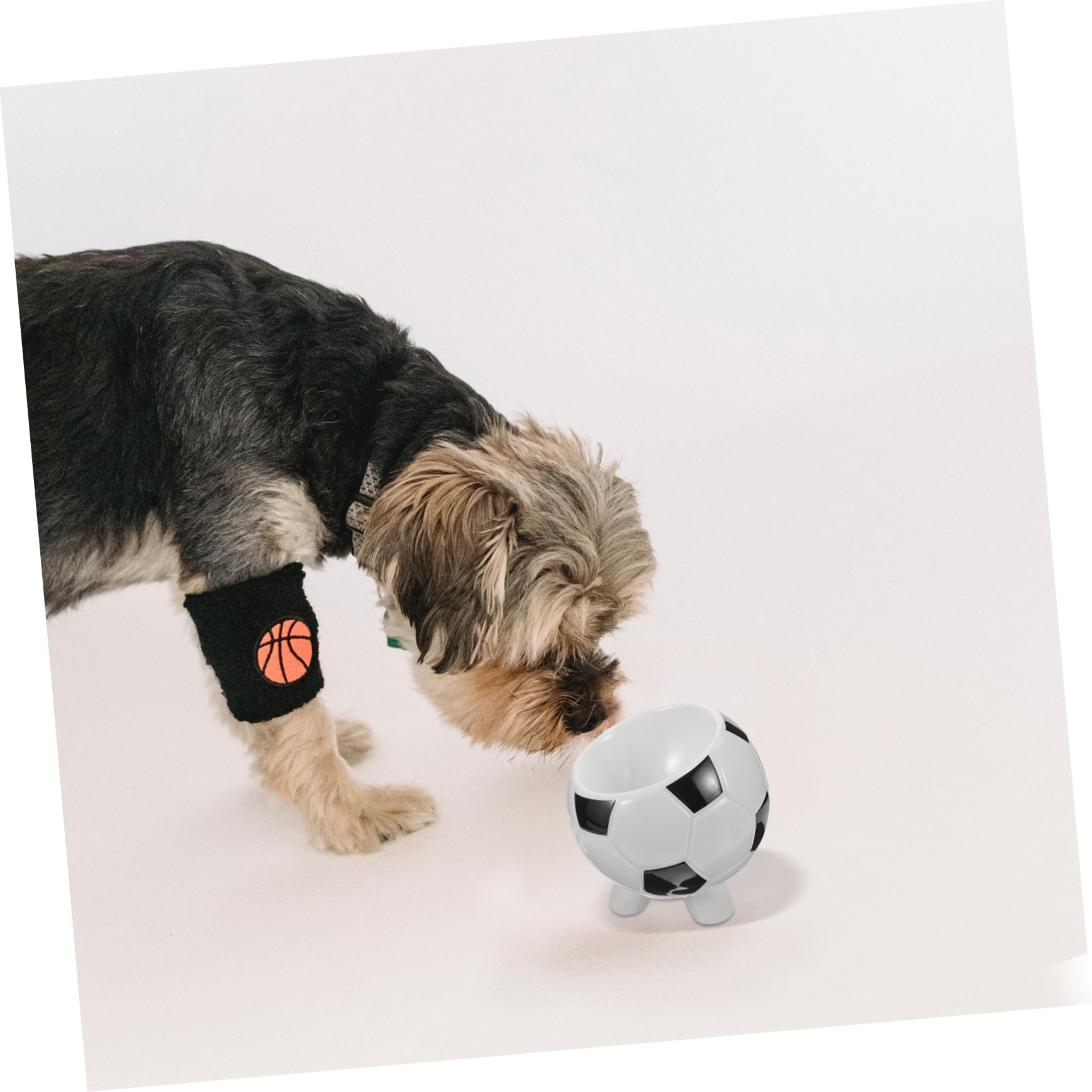 Premium Ceramic Pet Bowl for Dogs & Cats - Durable Non-Slip Pet Food Dish with Wide Rim - Perfect for Puppy, Kitten, Small & Medium Pets - Ideal for Home, Kitchen, or Outdoor Use