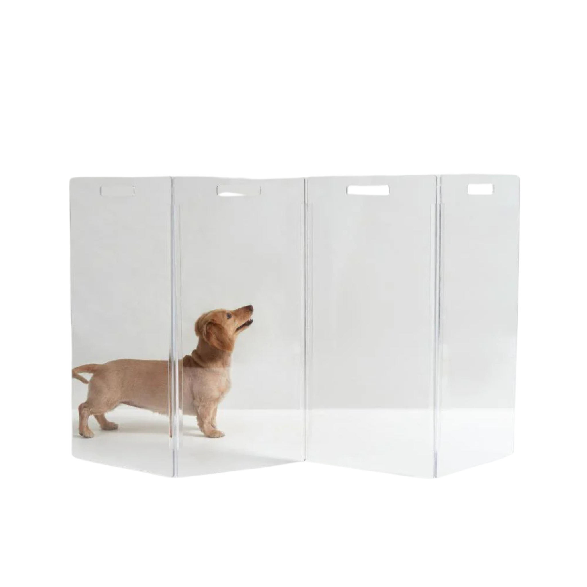Clear Freestanding Zig Zag Panel Pet Gate - Expandable Safety Barrier for Dogs & Cats - Perfect for Doorways, Hallways & Stairs - Home & Office Use