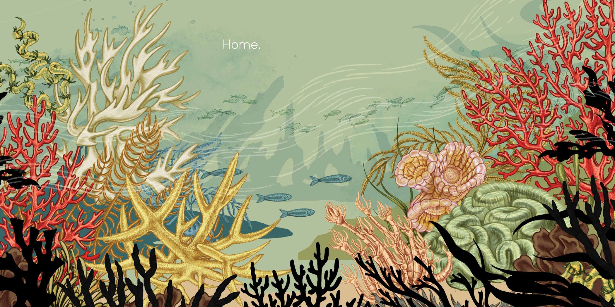 Coral Reef Book for Kids - 9781568463674 | Educational Marine Life Reading for Children | Perfect for Classroom & Home Learning