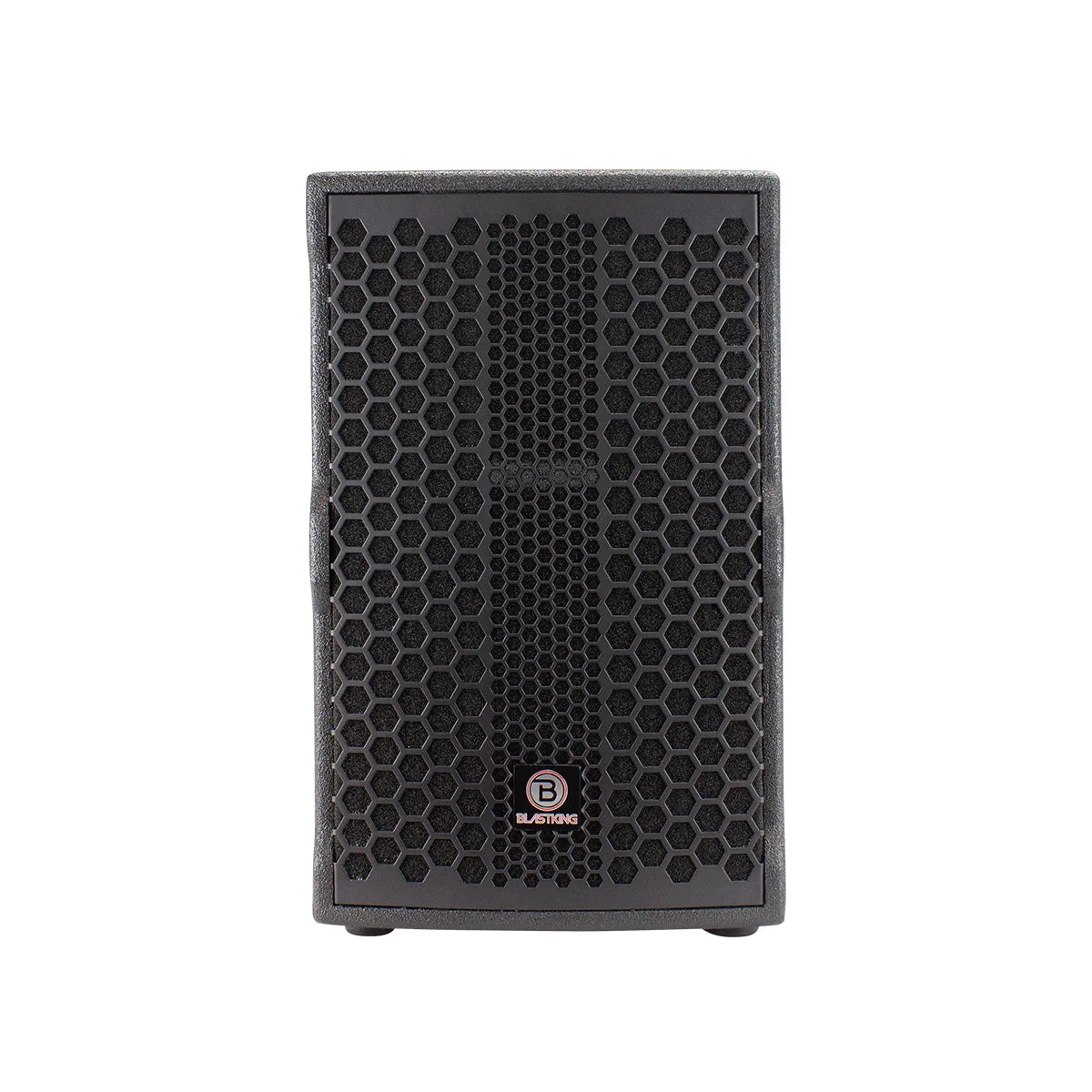 Blastking NOVO 10 10 Inch 2-Way Passive Loudspeaker 800W - Perfect for Live Music, DJ Performances & Home Theater Systems