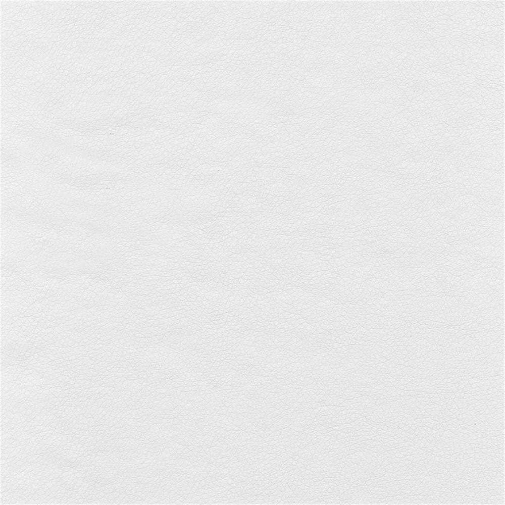 Bush Business Furniture Echo Mid Back Leather Office Chair - Ergonomic Executive Desk Chair with Lumbar Support, White - Perfect for Home Office, Conference Room & Workspace
