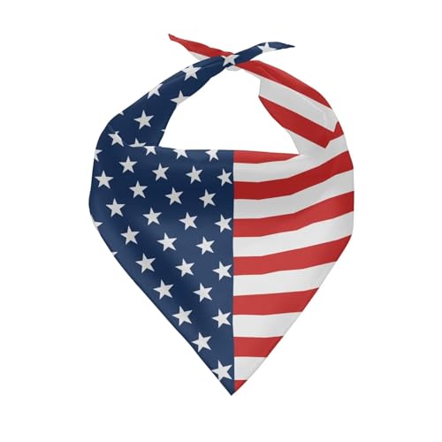 American Flag-1