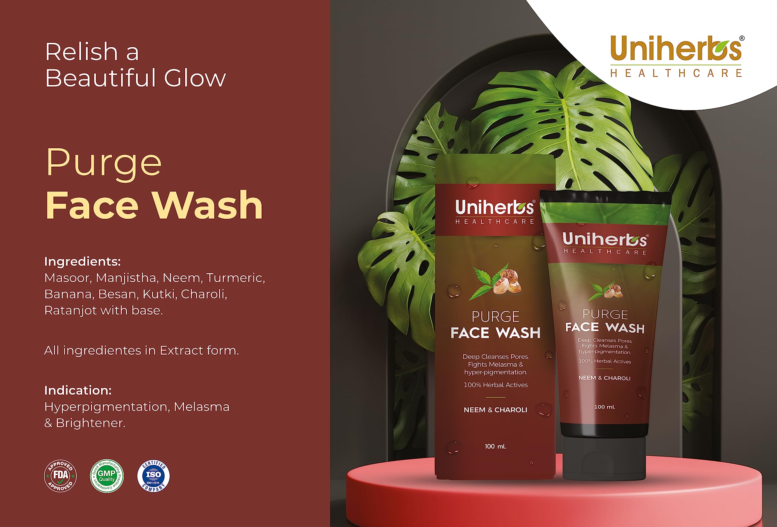 Purifying Face Wash for Glowing Skin | Deep Cleansing Pore Treatment (100ml) - Gentle Daily Cleanser for Acne-Prone & Oily Skin | Perfect for Morning & Night Skincare Routine