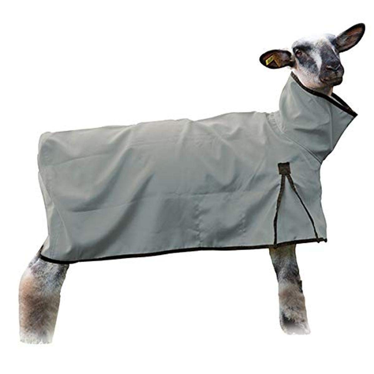 Soft and Cozy Sheep Blanket with Solid Butt - Small Gray Plush Throw for Kids, Nursery, and Home Decor | Perfect for Cuddling, Gifts, and Nursery Themes