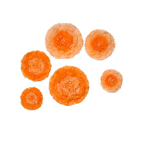 Coral and Orange