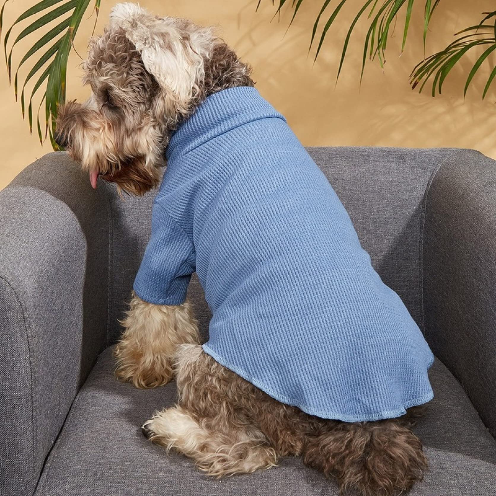 Breathable Soft Solid Color Dog Hoodie - Cute Pet Clothes for Spring & Autumn | Fashionable Dog Shirt in Blue for Daily Walks & Outdoor Adventures