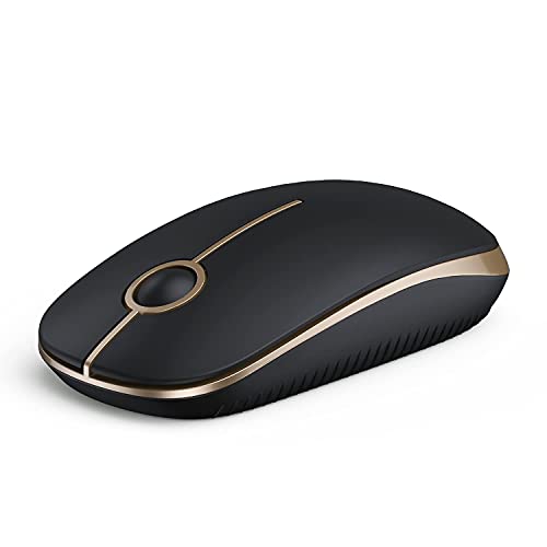 Black and Gold
