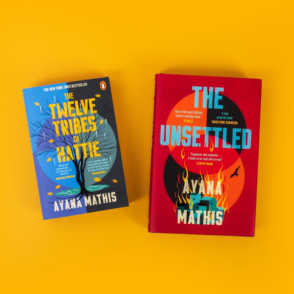 The Twelve Tribes of Hattie - Historical Fiction Novel by Ayana Mathis | Perfect for Book Clubs & African American Literature Lovers