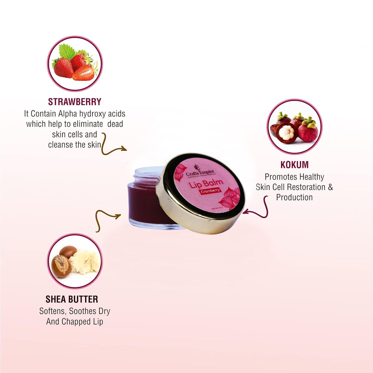 CRAFTS EMPIRE Cranberry Lip Balm - 10g Moisturizing & Nourishing Lip Care for Dry, Chapped Lips - Perfect for Winter, Travel & Daily Hydration
