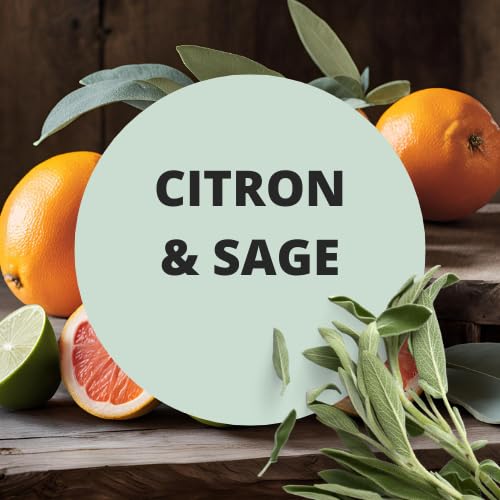 Citron & Sage Scented Body Lotion with Aloe Vera - 8 Oz Amber Bottle for Dry Skin Care & Moisturizing - Perfect for Daily Hydration, Spa Days & Gift Sets