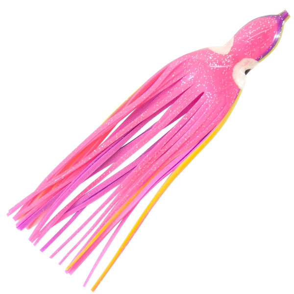 DARK BLUE/PINK BELLY