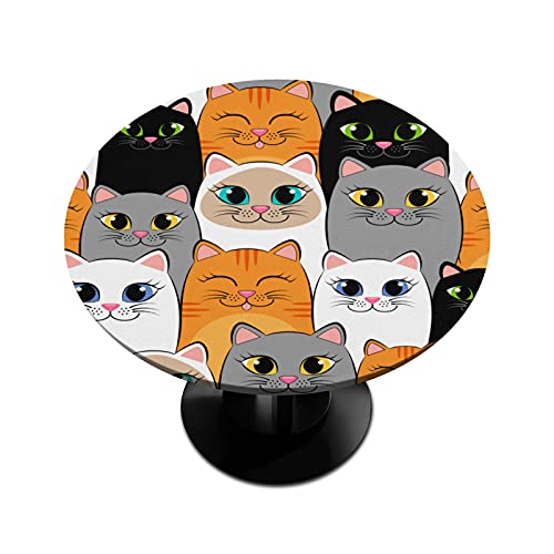 D-cats