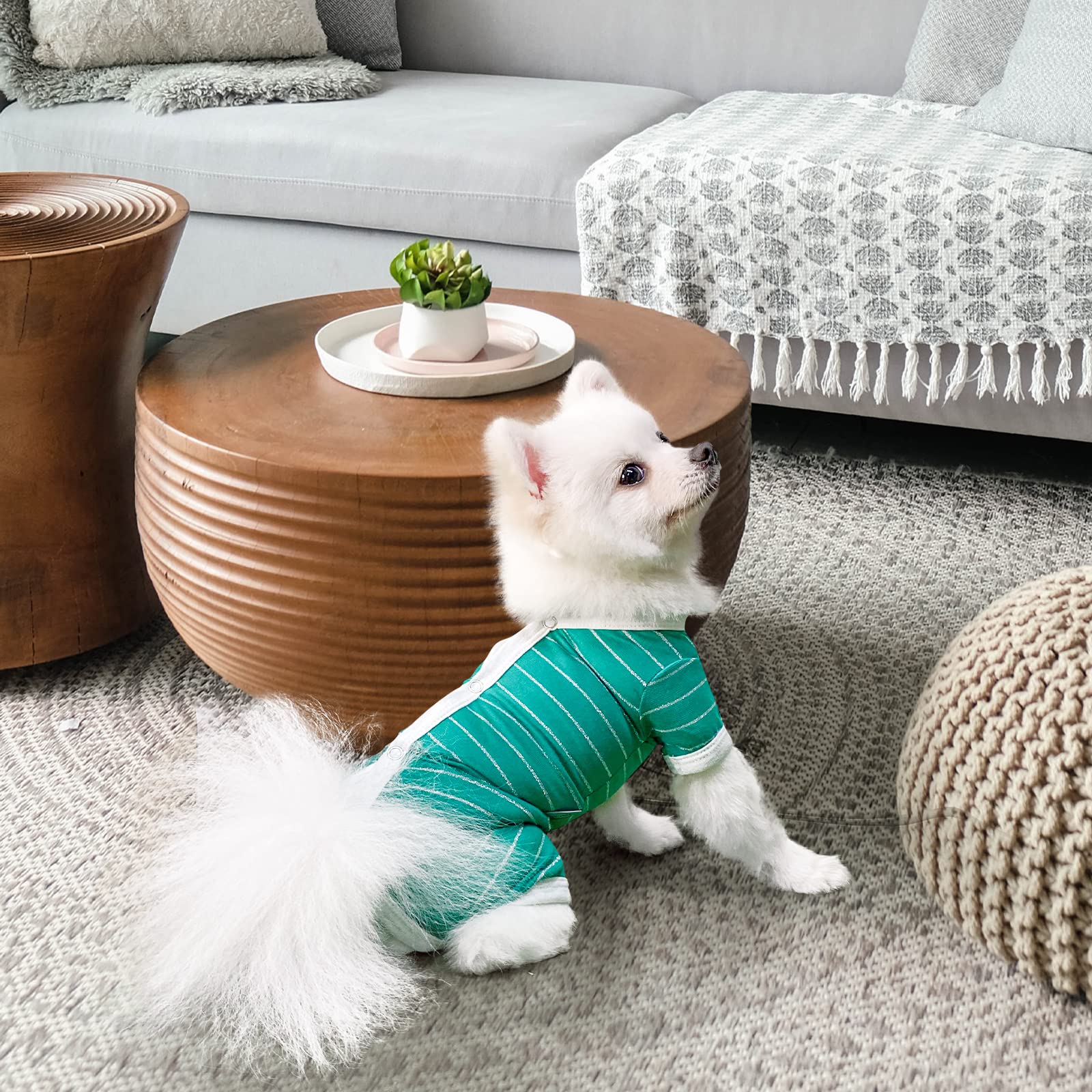 TONY HOBY Dog Pajamas - Summer Shirt & 4-Legged Jumpsuit for Small Medium Dogs | Breathable Recovery Suit for Post-Surgery Care (Green, Boy, Size M) - Perfect for Indoor Lounging & Vet Visits