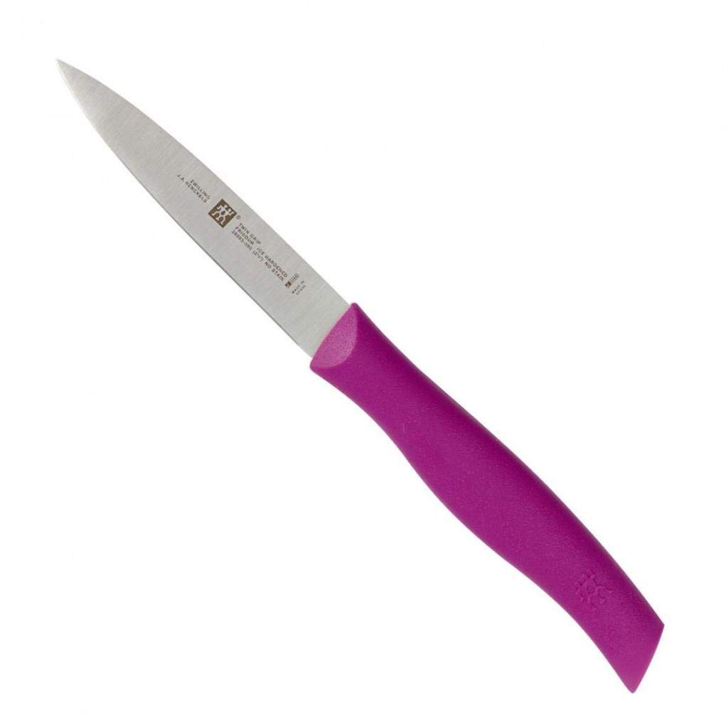 ZWILLING 381900800 Vegetable and Fruit Knife - Sharp Stainless Steel Blade for Slicing, Peeling & Dicing - Perfect for Kitchen, Camping & Picnics