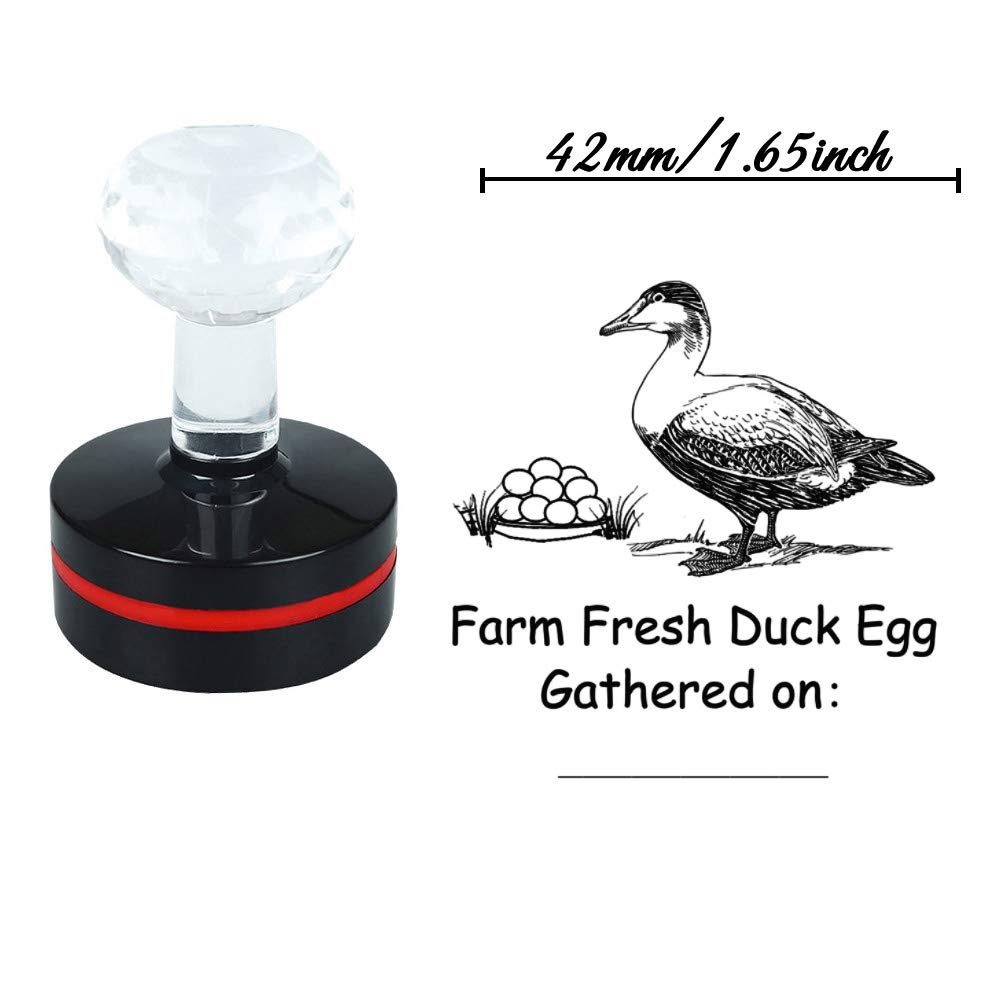 Custom Personalized Farm Fresh Duck Egg Stamp - Self Inking Rubber Stamp for Business, Farm Markets & Egg Packaging | Perfect for Egg Cartons, Farm Signs & Homestead Branding