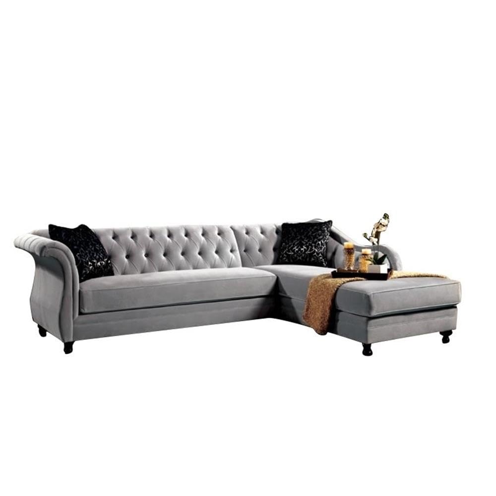 Furniture of America 2-Piece Corinee Glamorous Sectional Sofa Set in Taupe - Modern Living Room Furniture for Small Spaces & Apartments