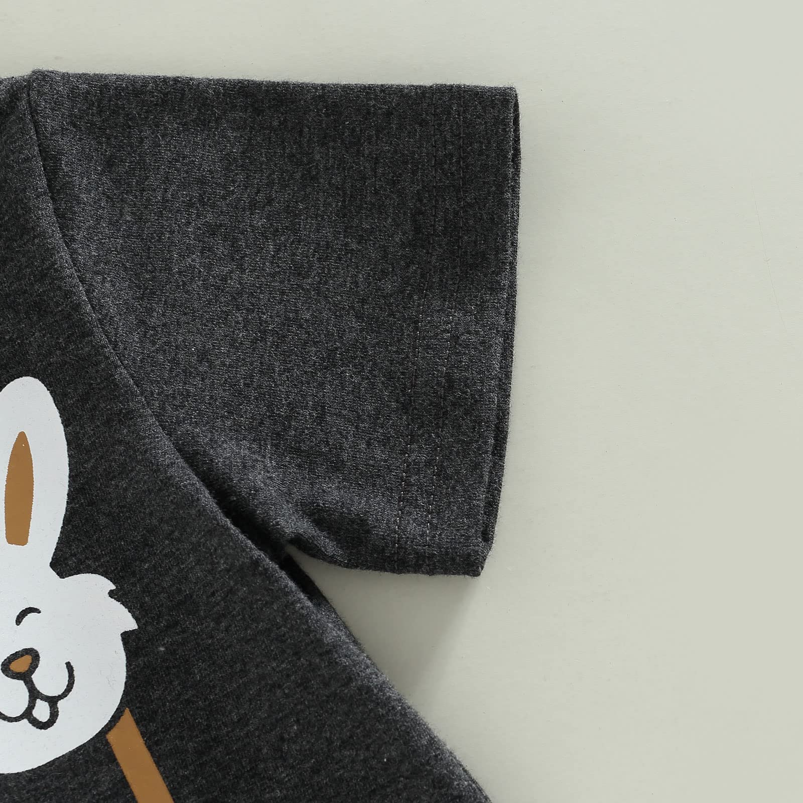 Baby Boy Easter Outfit - Rabbit Print T-Shirt & Pants Set | First Easter Clothes for Boys | Easter Sunday, Photo Shoots & Family Gatherings