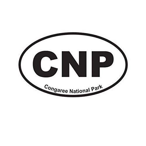 ION Graphics Congaree National Park 5