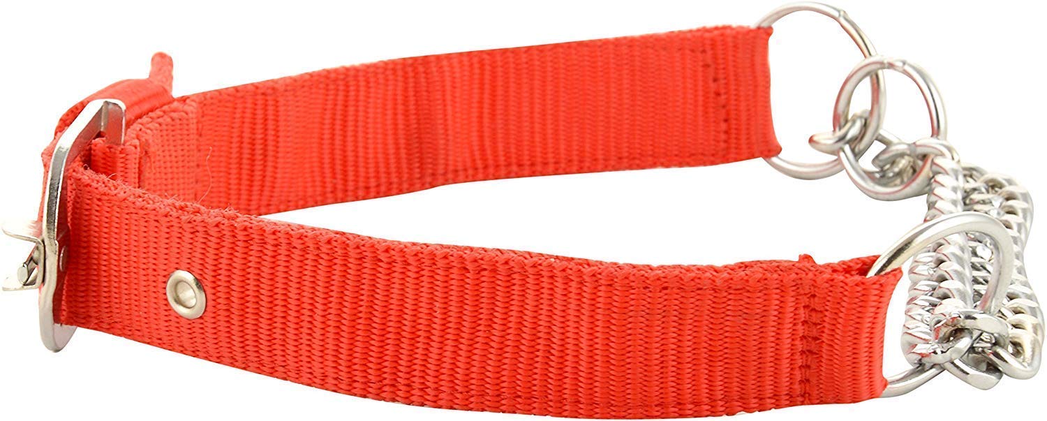 PSK PET MART Half Chain Dog Collar - 1.25 Inch Large Nylon Choker Collar with Stainless Steel for Medium to Large Dogs - Adjustable Pet Training Collar (Color May Vary) - Perfect for Walking, Training & Outdoor Activities