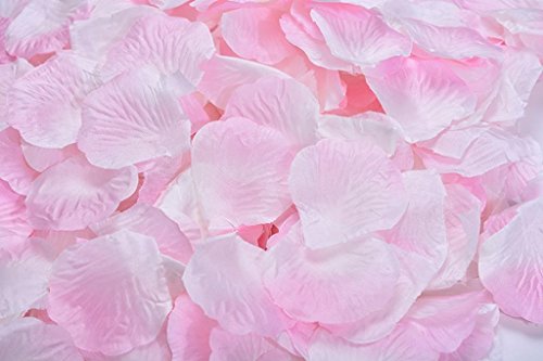 Pink and White