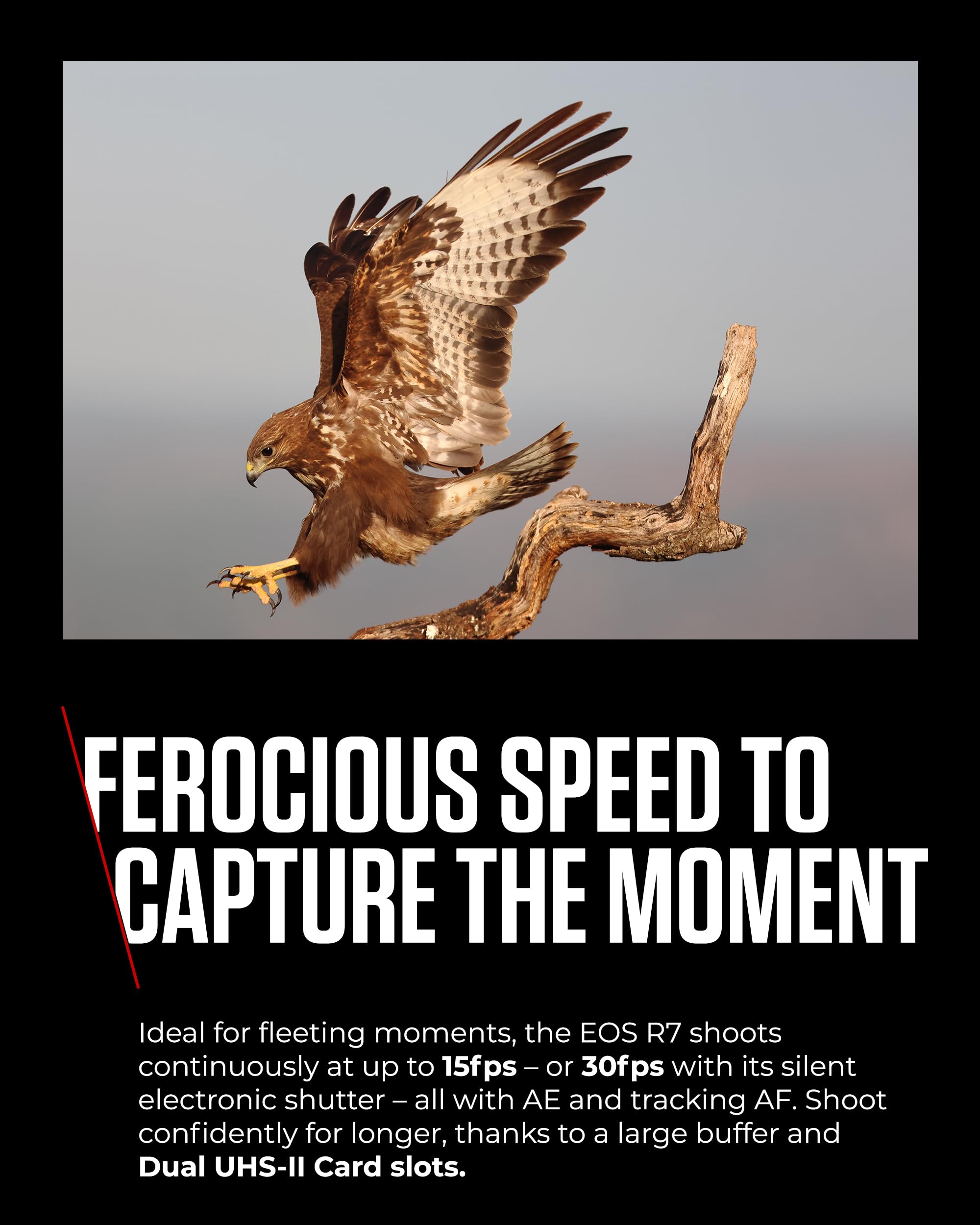 Canon EOS R7 Mirrorless Camera with RF-S 18-150mm Lens - 32.5MP APS-C CMOS Sensor, Dual Pixel AF II, 4K Video, Touchscreen LCD - Perfect for Travel Photography, Vlogging & Content Creation
