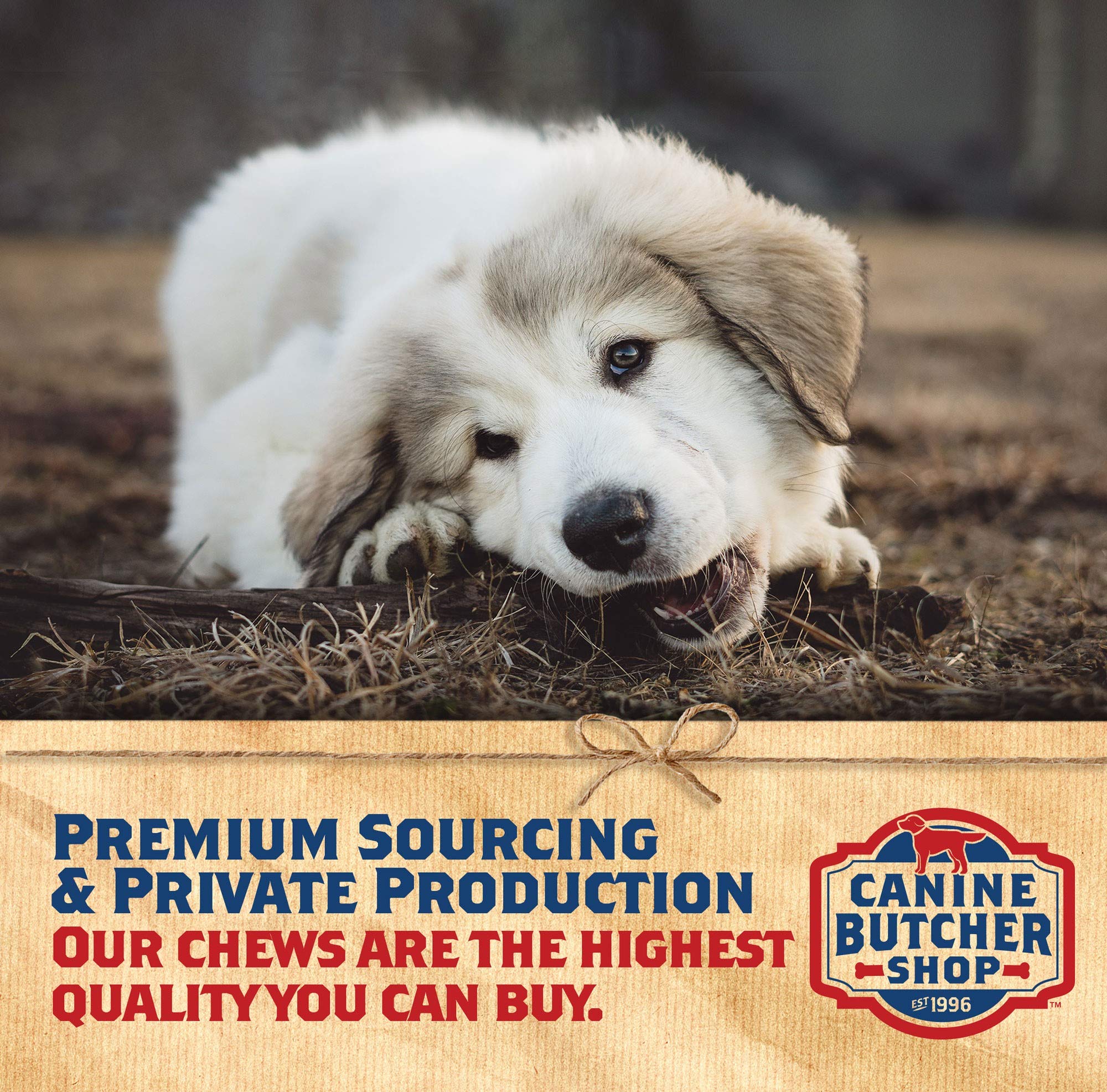 Premium Dehydrated Chicken Feet Dog Treats - All Natural, USA Raised & Made, 60-Pack | Long-Lasting Dental Chews for Medium & Large Dogs | Perfect for Training Rewards & Joint Health Support