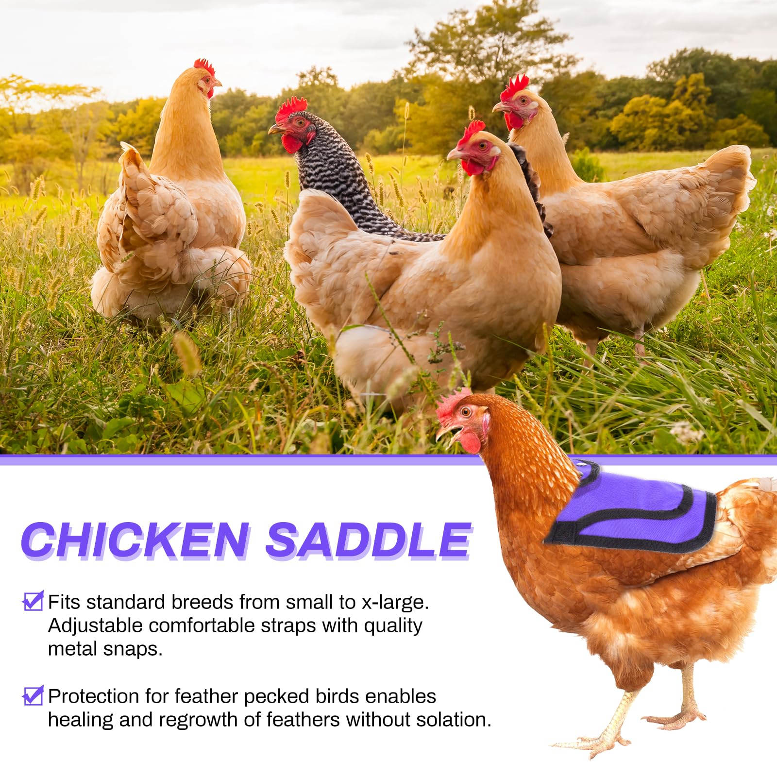 6 Pcs Adjustable Chicken Saddle Apron - Hen Back & Side Protector with Comfortable Straps | Feather Protection Poultry Accessories for Egg Laying, Rooster Mating & Free Range Hens (Ideal for Backyard Chickens & Small Farms)