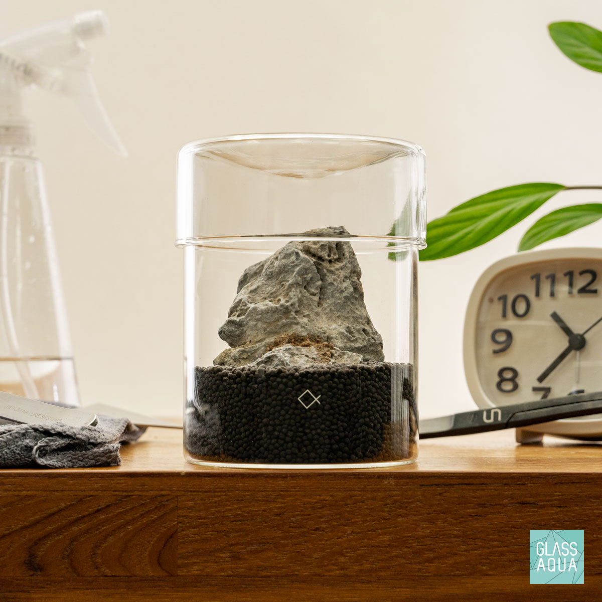 Miniature Terrarium Kit - DIY Glass Garden with Succulents & Moss for Home Decor, Office Desk, or Gift Idea | Creative Indoor Gardening Project for Beginners