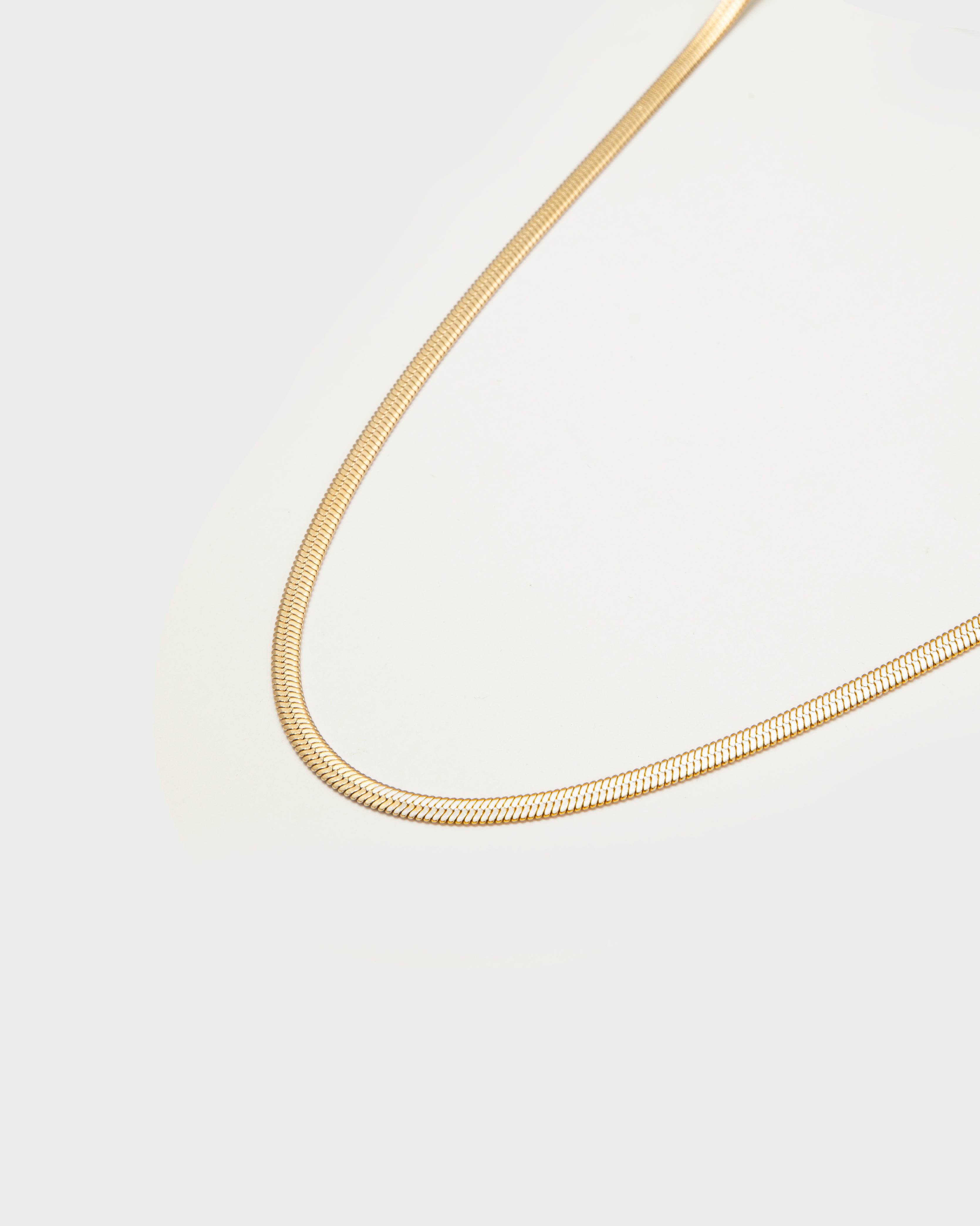5mm Herringbone Chain Necklace for Women - 14K Gold Plated Stainless Steel Dainty Layering Necklace - Perfect for Everyday Wear, Gift Giving & Special Occasions