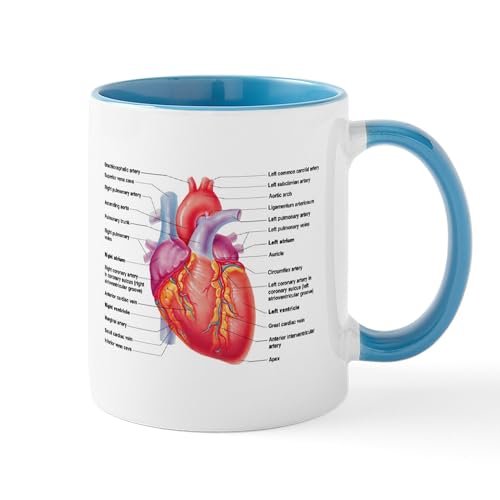 White/Blue Inside - Human Heart Mugs