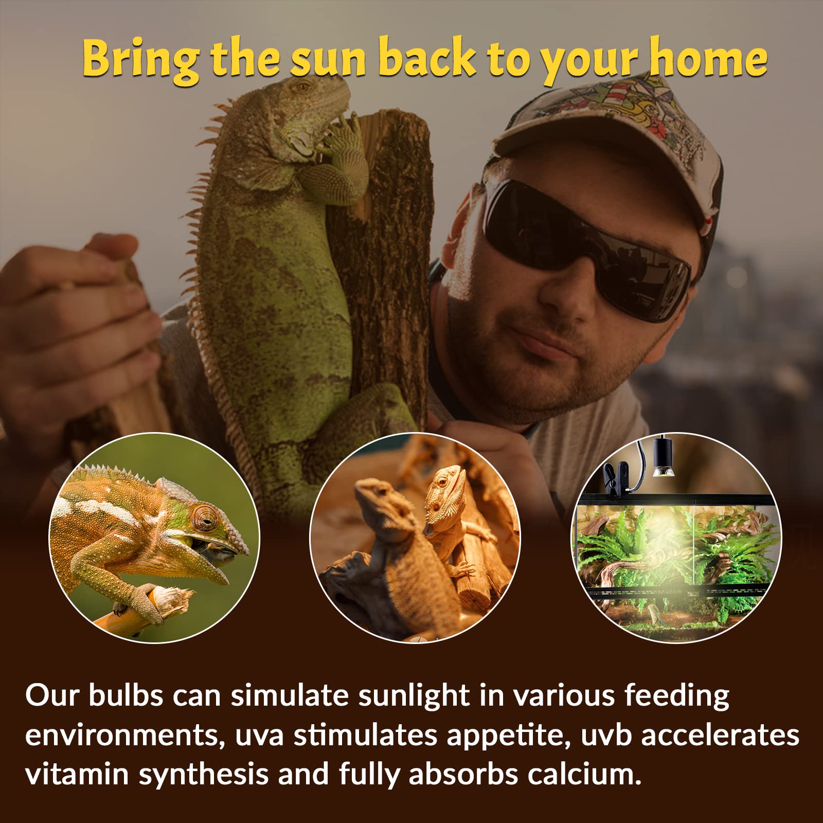 50W Reptile Heat Lamp Bulb - UVA UVB Full Spectrum Sun Light, E26 Dimmable Basking Bulb for Turtles, Lizards, Amphibians & Terrariums (8-Pack) - Perfect for Reptile Habitats, Nighttime Heating & UV Supplementation