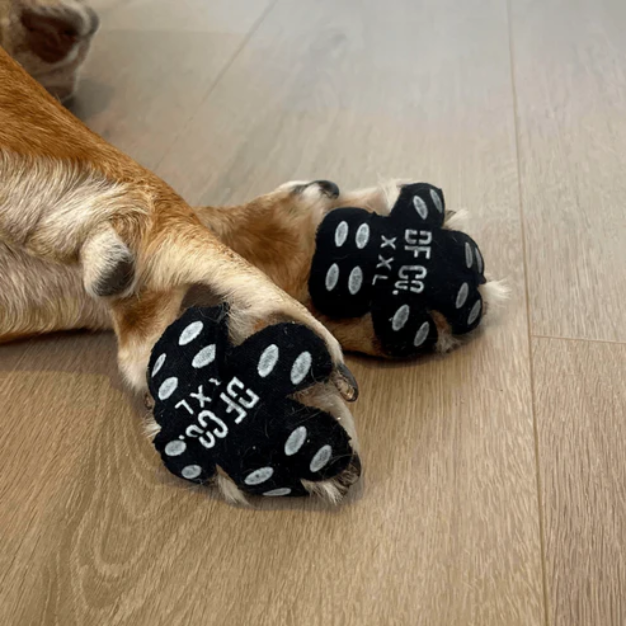 Dog Paw Protector Boots - Waterproof & Anti-Slip Dog Shoes for Outdoor Hiking, Walking on Hot Pavement & Snow - Protective Gear for Small Medium Large Dogs
