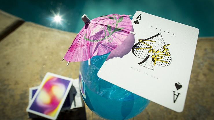 Malibu V2 - Premium Quality Outdoor Speaker with Bluetooth Connectivity for Beach, Pool, and Backyard Parties