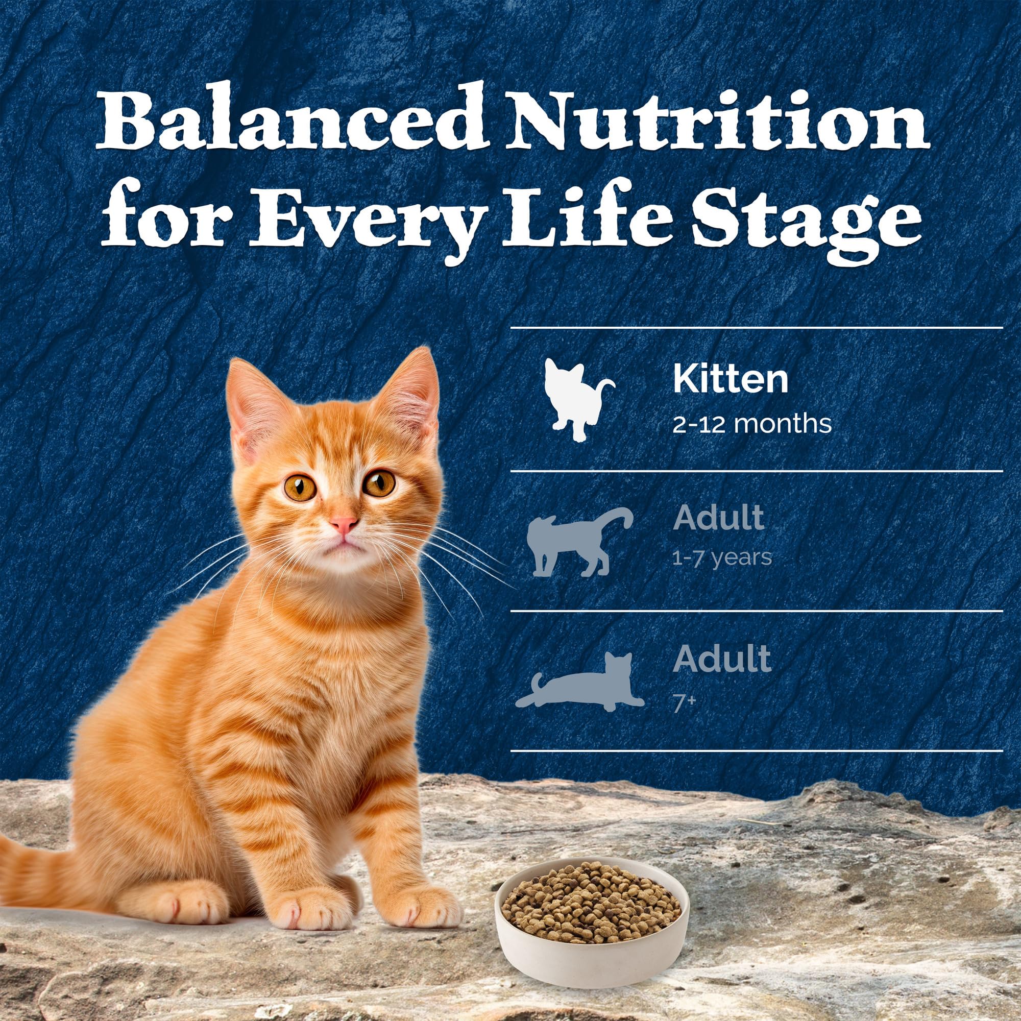 Blue Buffalo Wilderness High-Protein Chicken Kitten Dry Cat Food - Natural Grain-Free Recipe for Growing Kittens - 2 lb Bag - Perfect for Indoor & Outdoor Active Kittens